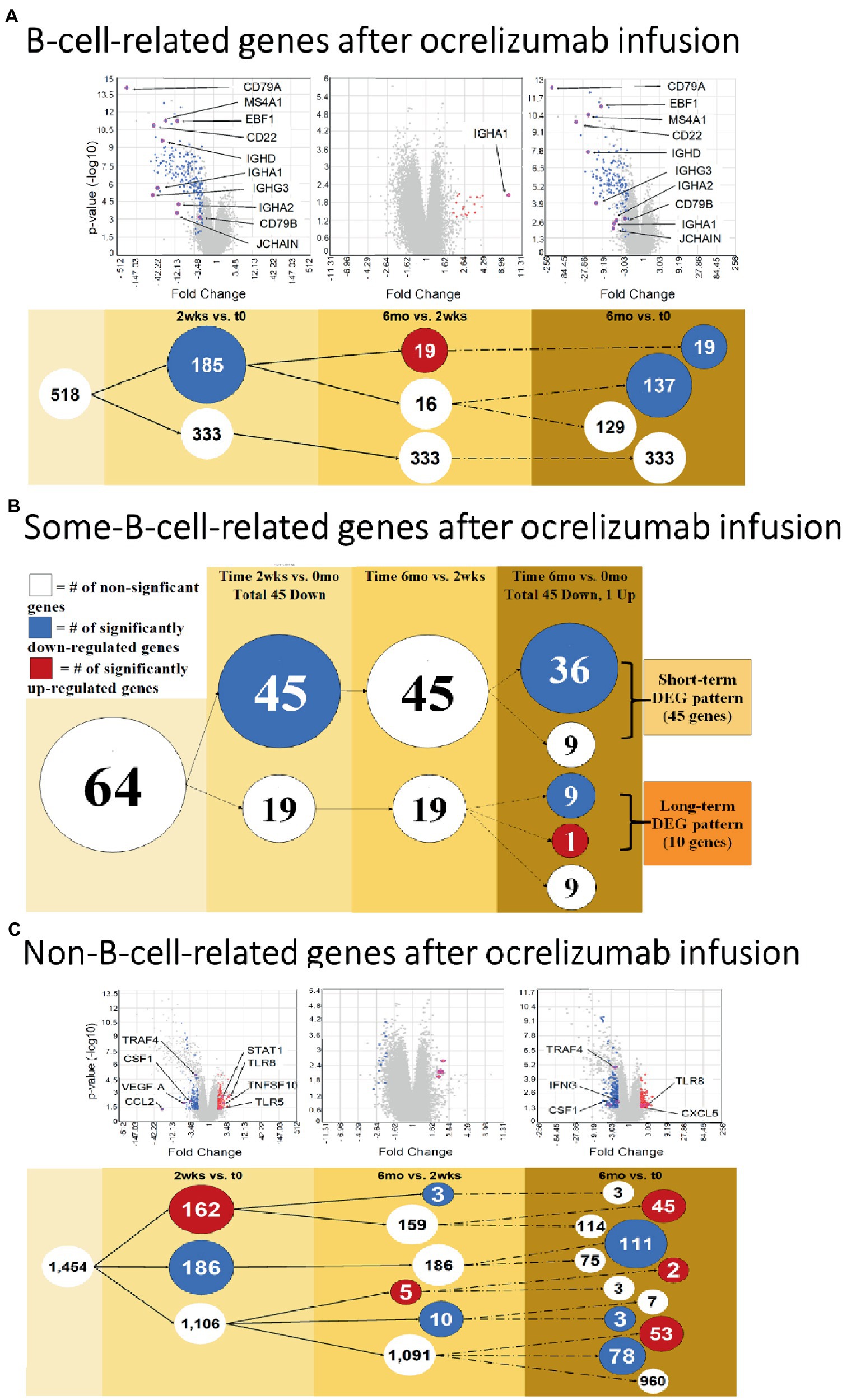 Frontiers | Adaptive And Innate Immune Responses In Multiple Sclerosis ...