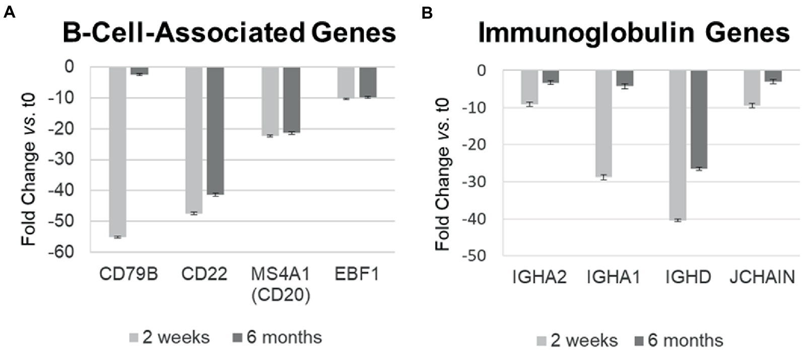 Frontiers | Adaptive And Innate Immune Responses In Multiple Sclerosis ...