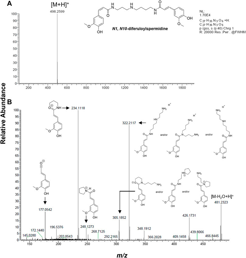 Frontiers | In situ spatiotemporal mapping of 3-hydroxy-3 ...