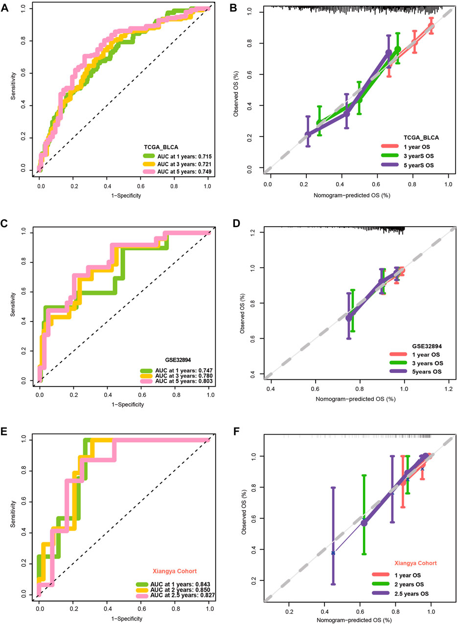 Frontiers | Molecular Vasculogenic Mimicry–Related Signatures Predict ...