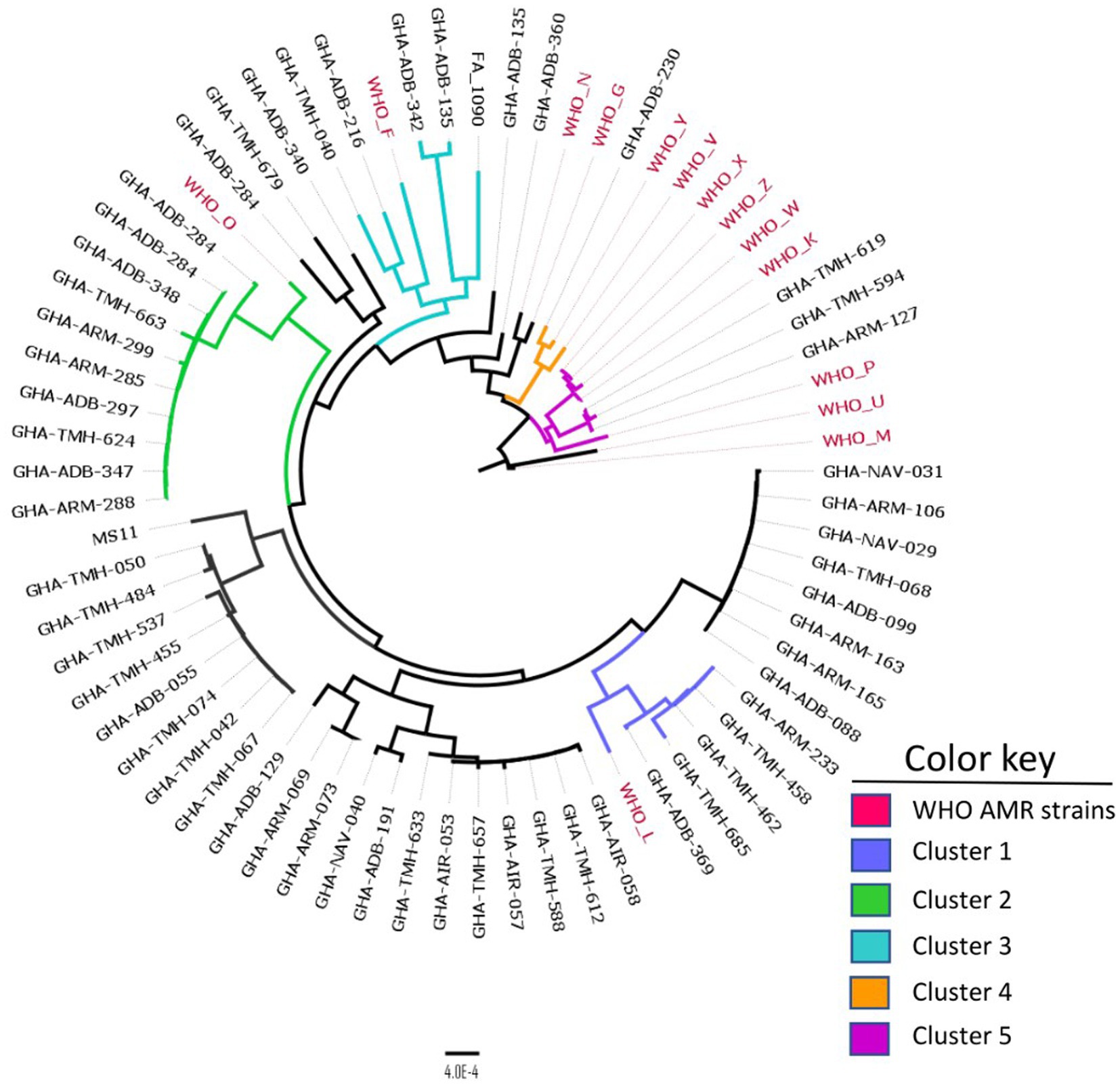 Frontiers Whole Genome Analysis And Antimicrobial Resistance Of