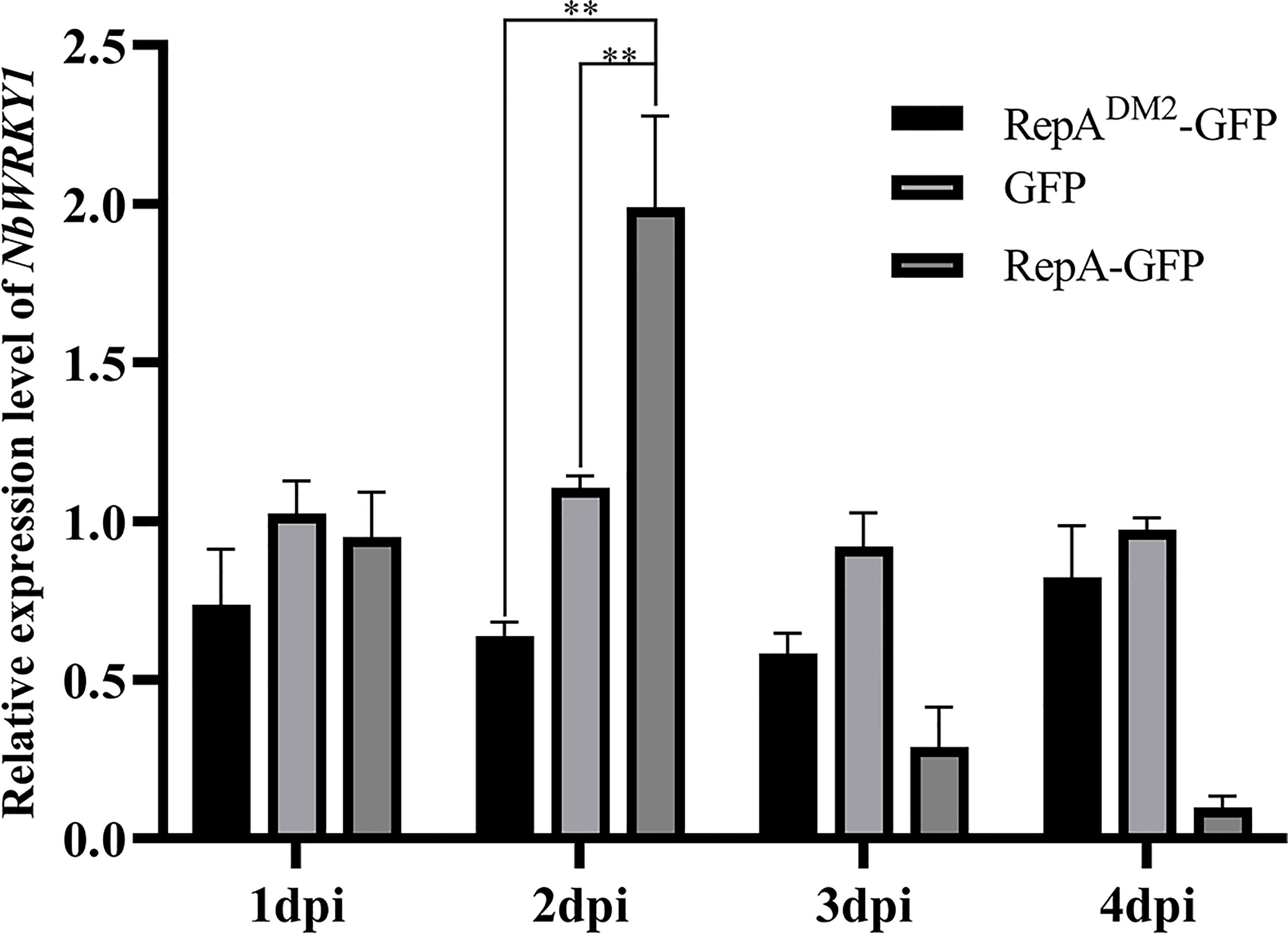 Frontiers | Regulation of Nicotiana benthamiana cell death induced by ...