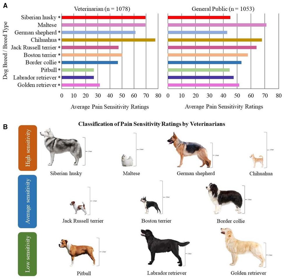 Fb Dog Xxx - Frontiers | Pain sensitivity differs between dog breeds but not in the way  veterinarians believe
