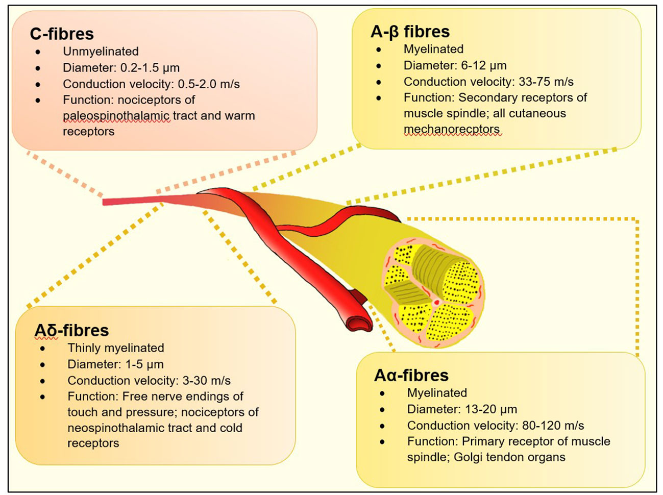 Frontiers Frontiers In Diagnostic And Therapeutic Approaches In 