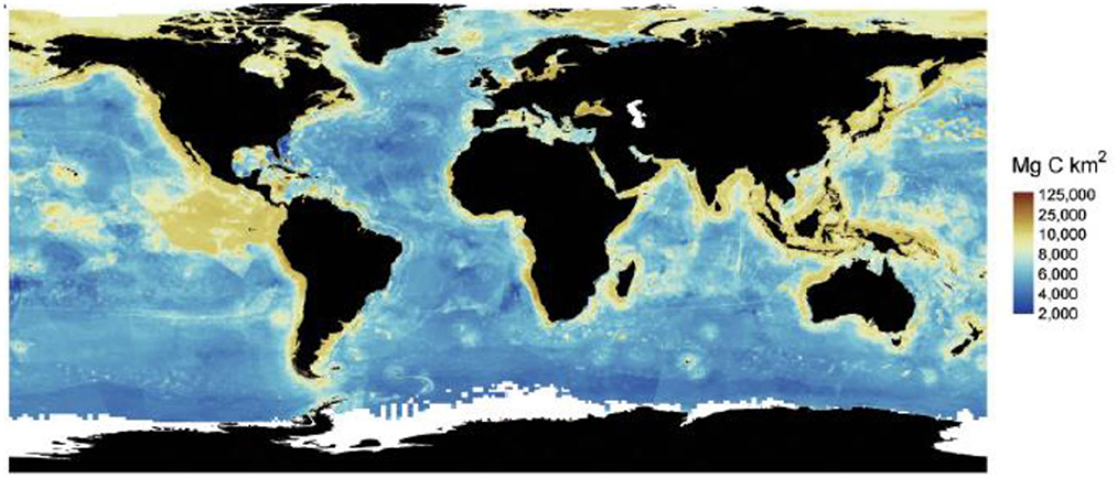 New global initiatives announced for mapping the entire ocean floor