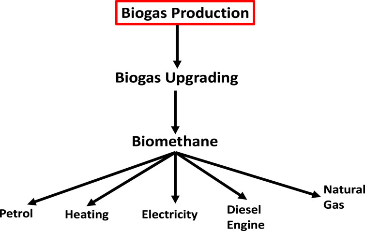 Frontiers  Enhancing and upgrading biogas and biomethane production in  anaerobic digestion: a comprehensive review