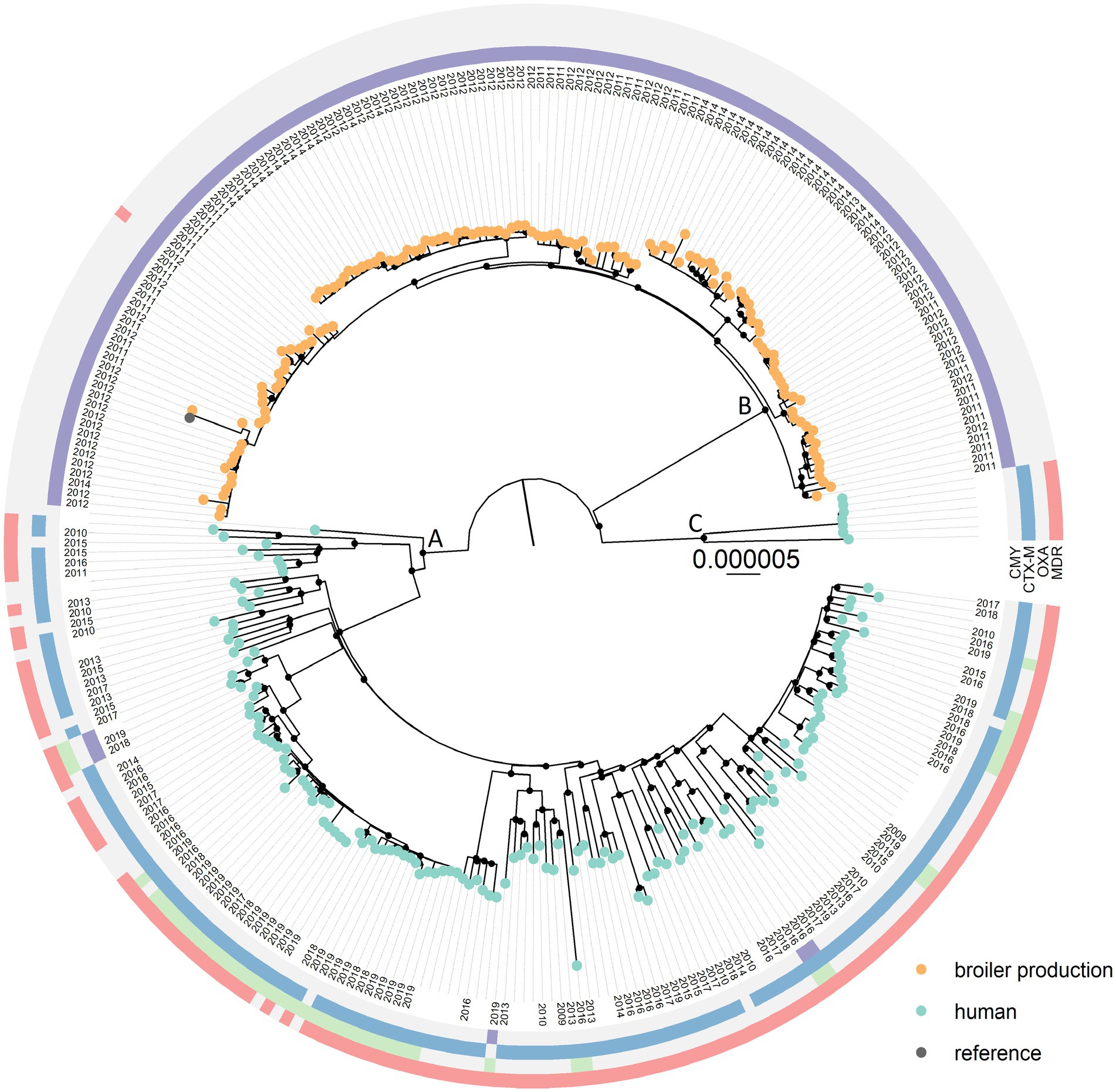 Frontiers | Escherichia coli multilocus sequence type 38 from humans ...