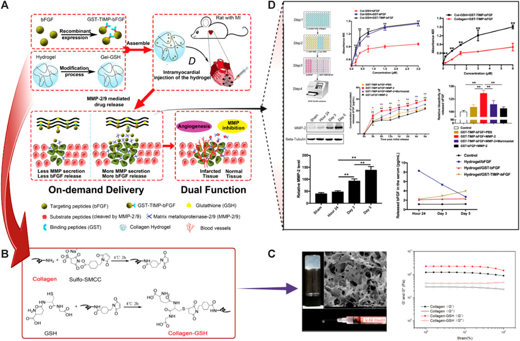 Frontiers | Stimuli-responsive hydrogels: smart state of-the-art ...