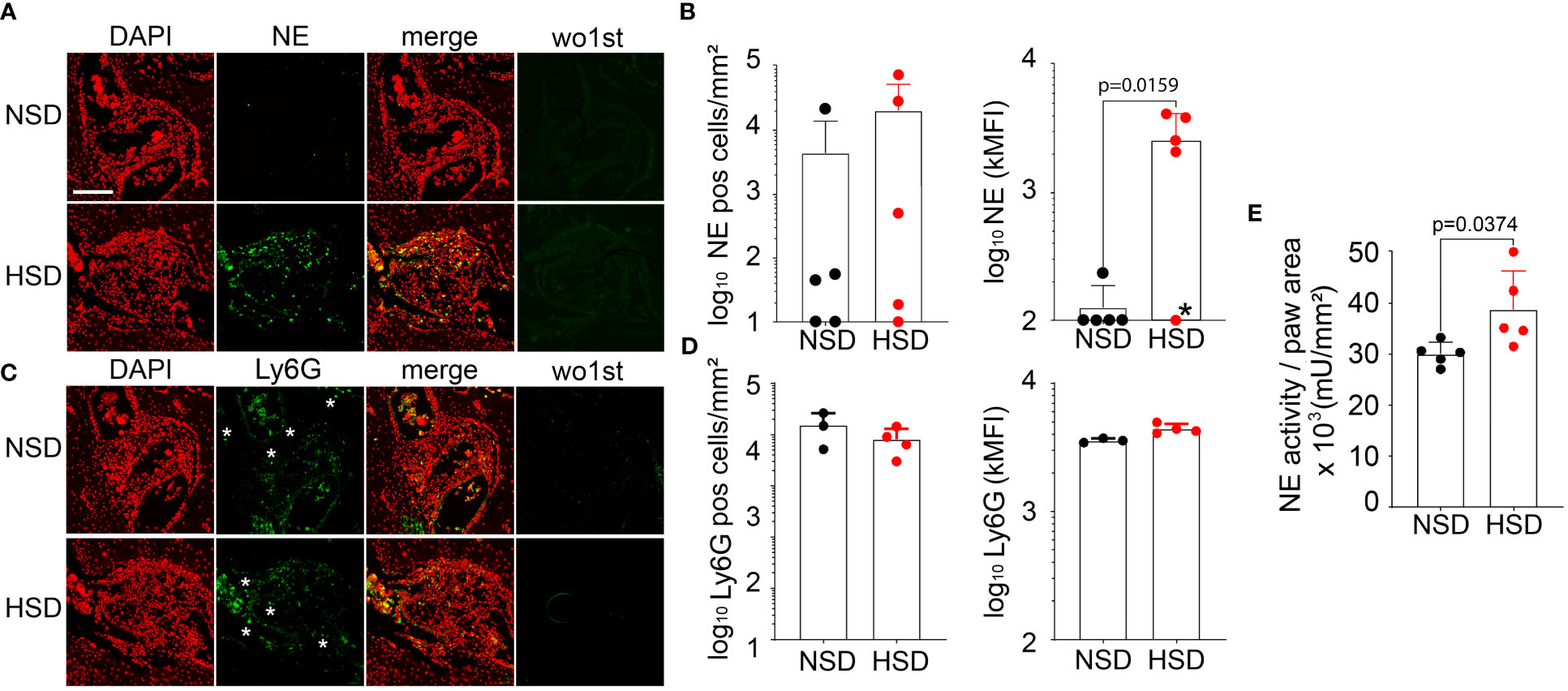 Frontiers Suppression Of Neutrophils By Sodium Exacerbates Oxidative Stress And Arthritis 9619