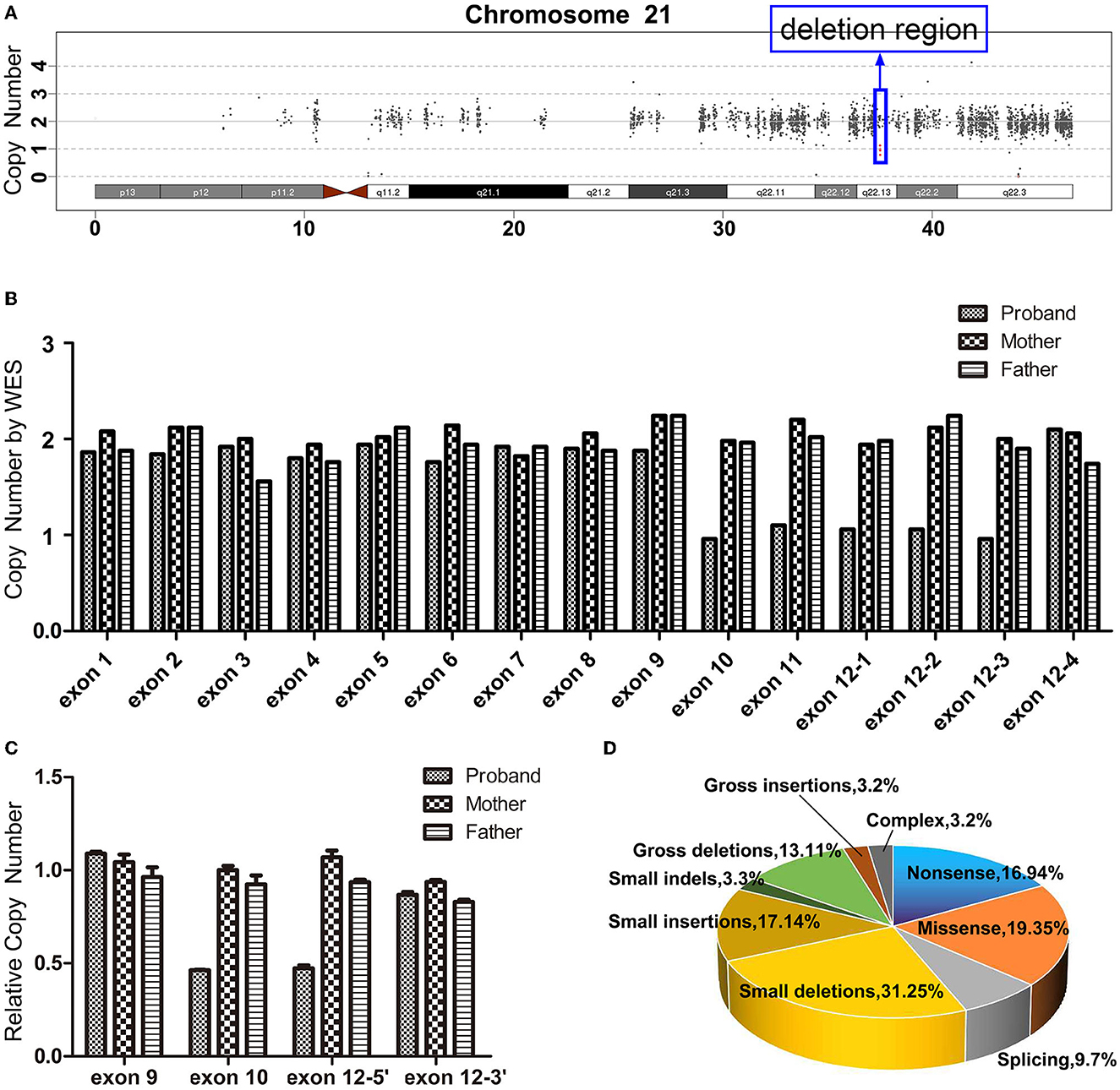 Cureus, Whole-Exome Sequencing Identified a Novel DYRK1A Variant in a  Patient With Intellectual Developmental Disorder, Autosomal Dominant 7