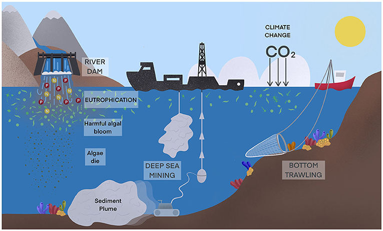 How Human Activities Are Disrupting the Silicon Cycle · Frontiers for ...