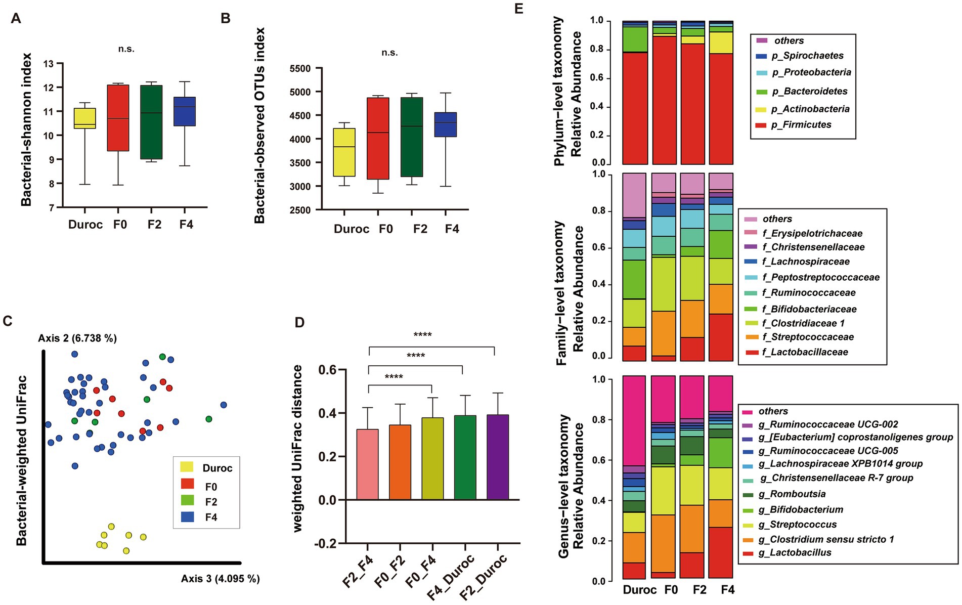 Domestication shapes the pig gut microbiome and immune traits from