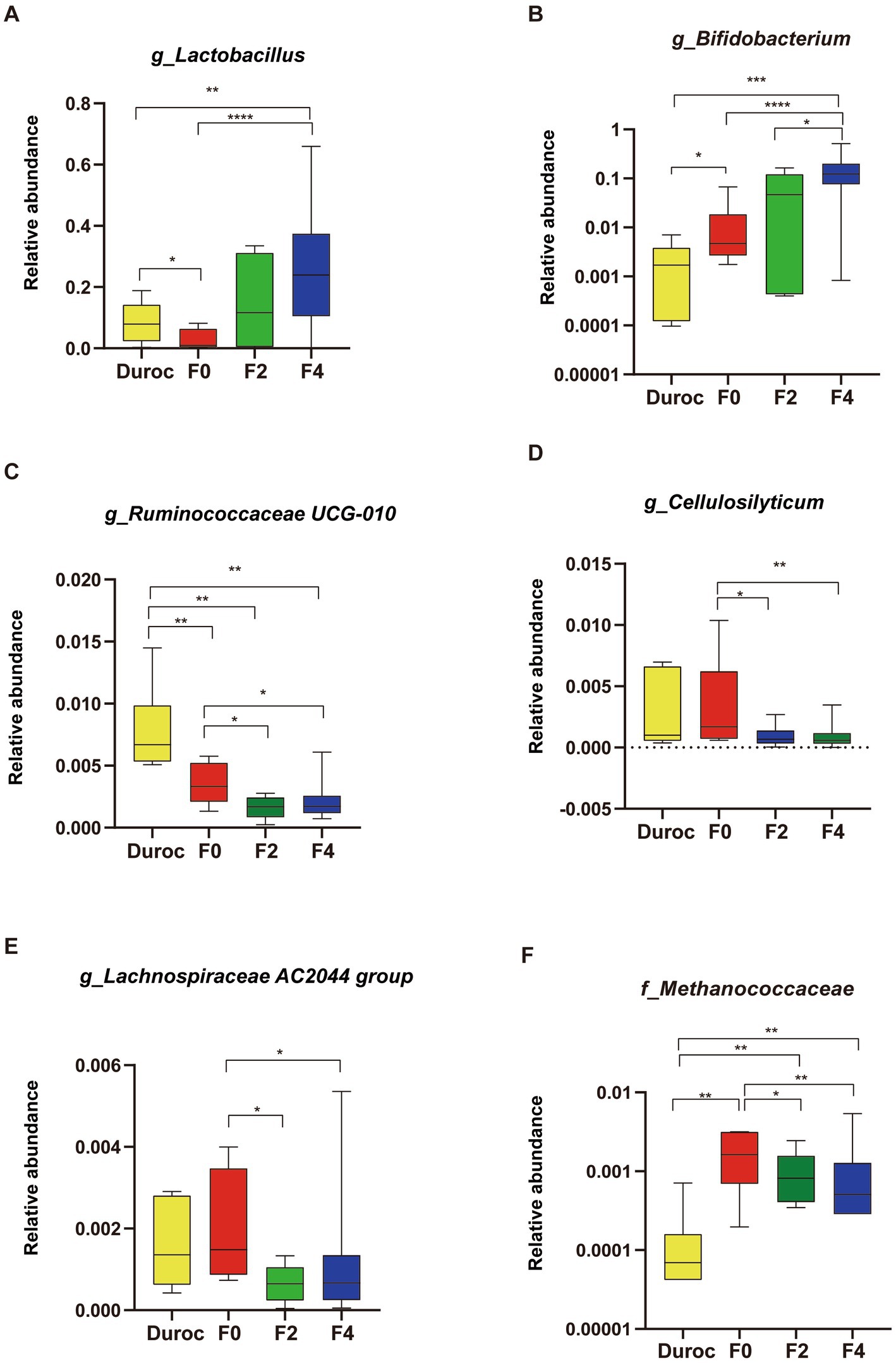 Domestication shapes the pig gut microbiome and immune traits from