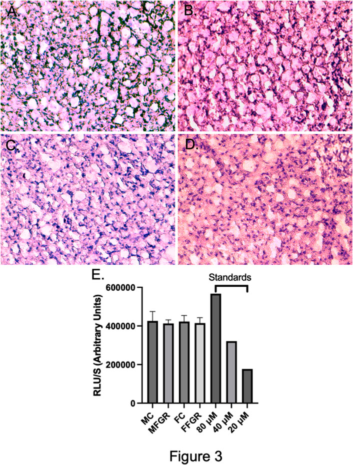 Frontiers Sexual Dimorphic Gene Expression Profile Of Perirenal Adipose Tissue In Ovine 4023