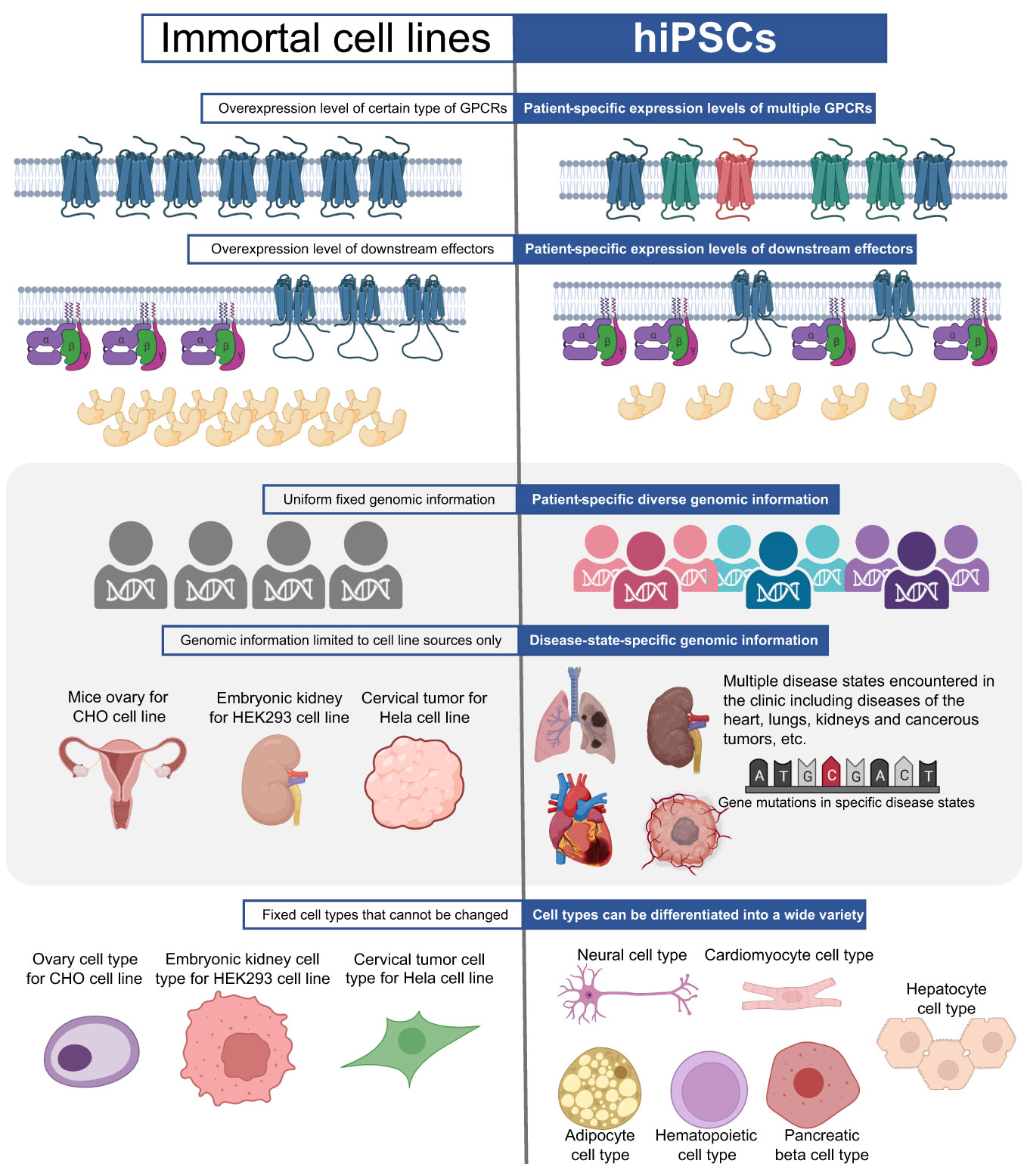 Frontiers  Detecting and measuring of GPCR signaling – comparison