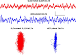 Frontiers | Chaos analysis of EEG during isoflurane-induced loss of ...