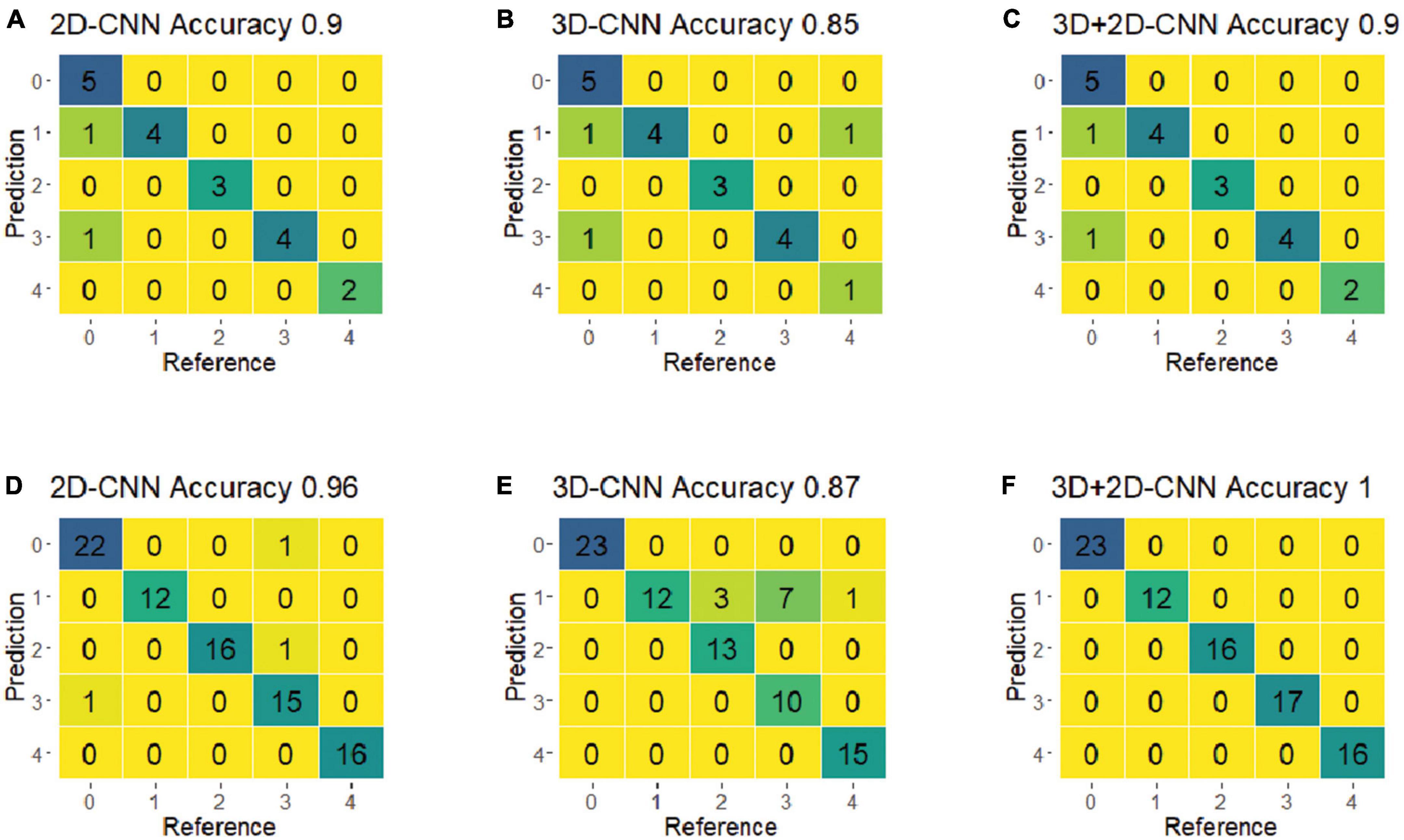 Frontiers | Classification Of Tree Symbiotic Fungi Based On ...