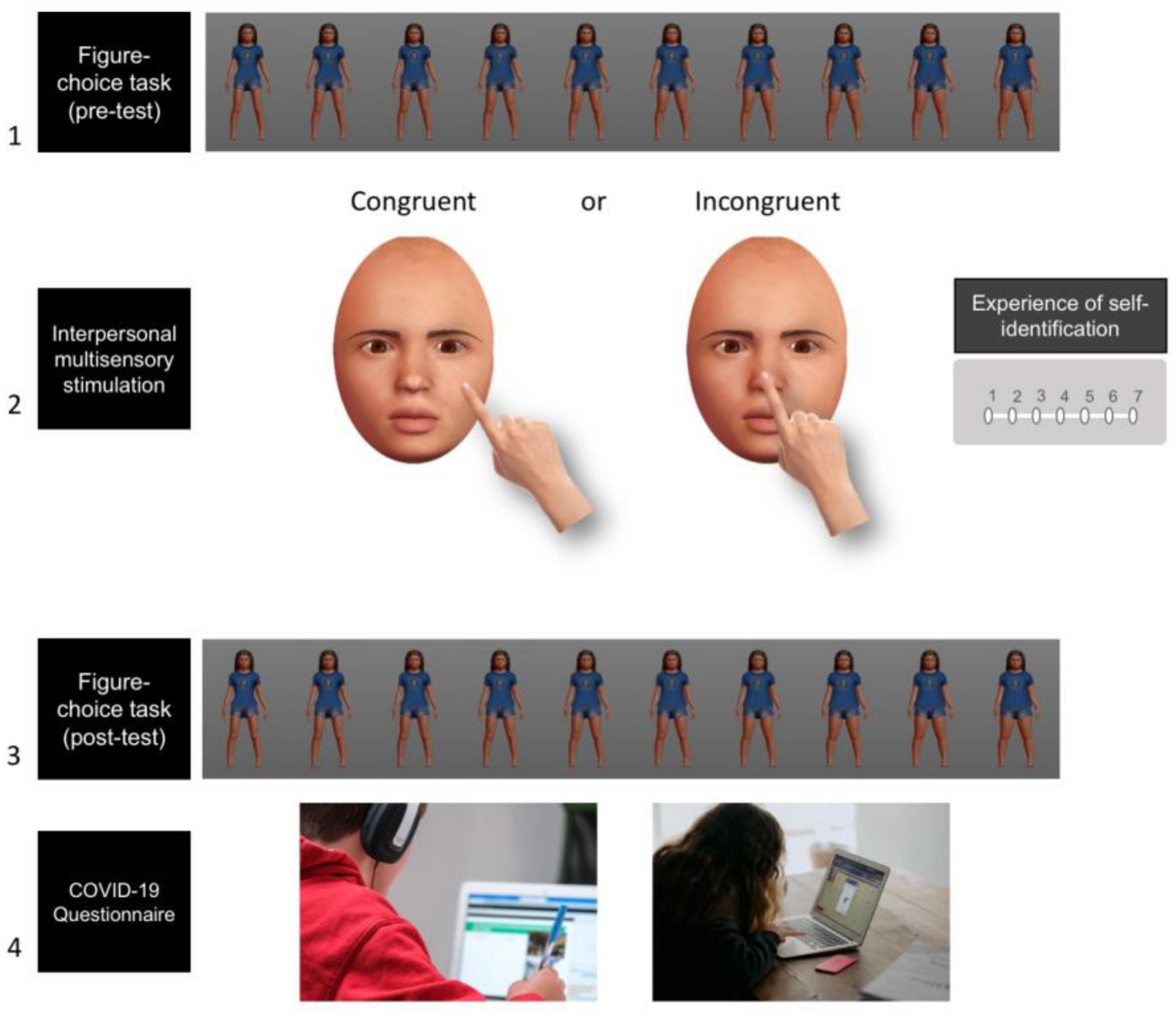 Short-term visual deprivation boosts the flexibility of body representation