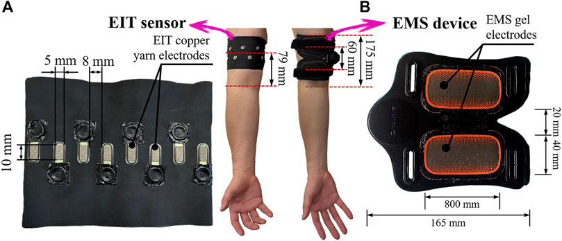 Opinions on EMS (electrical muscle stimulation)? : r/HubermanLab