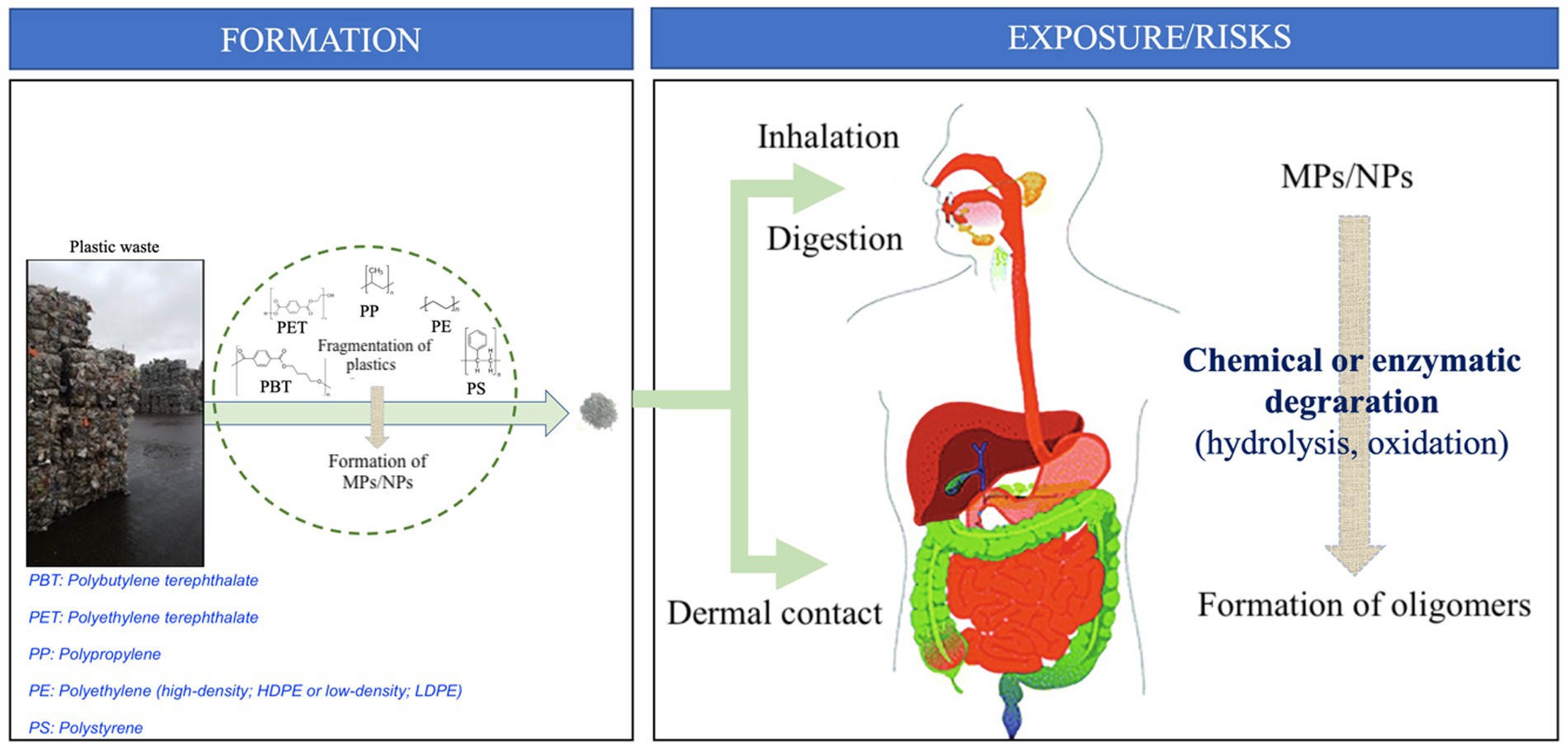 Chemical Analysis of Microplastics and Nanoplastics: Challenges, Advanced  Methods, and Perspectives