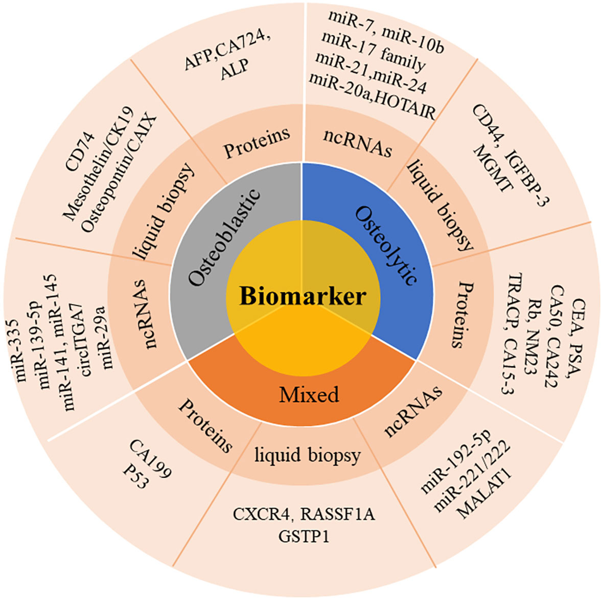 Frontiers | Potential biomarkers for the early detection of bone 