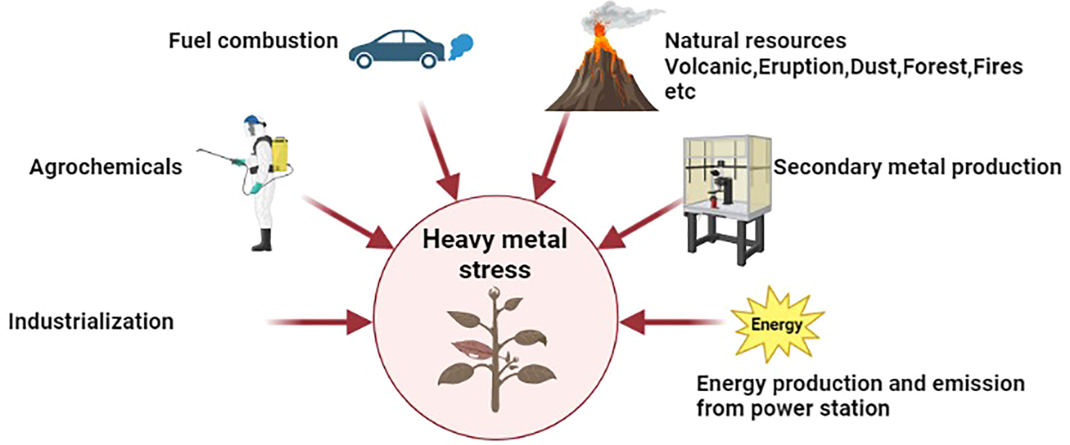 Integrating Biochar, Bacteria, and Plants for Sustainable Remediation of  Soils Contaminated with Organic Pollutants