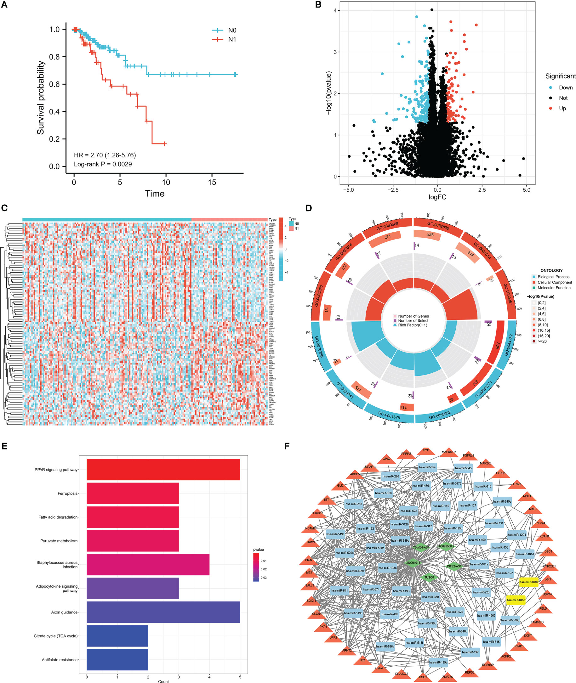 Frontiers | Lymph node metastasis-related gene signature shows 