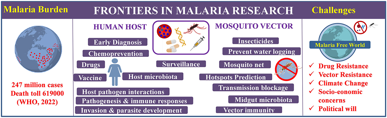 research articles on malaria