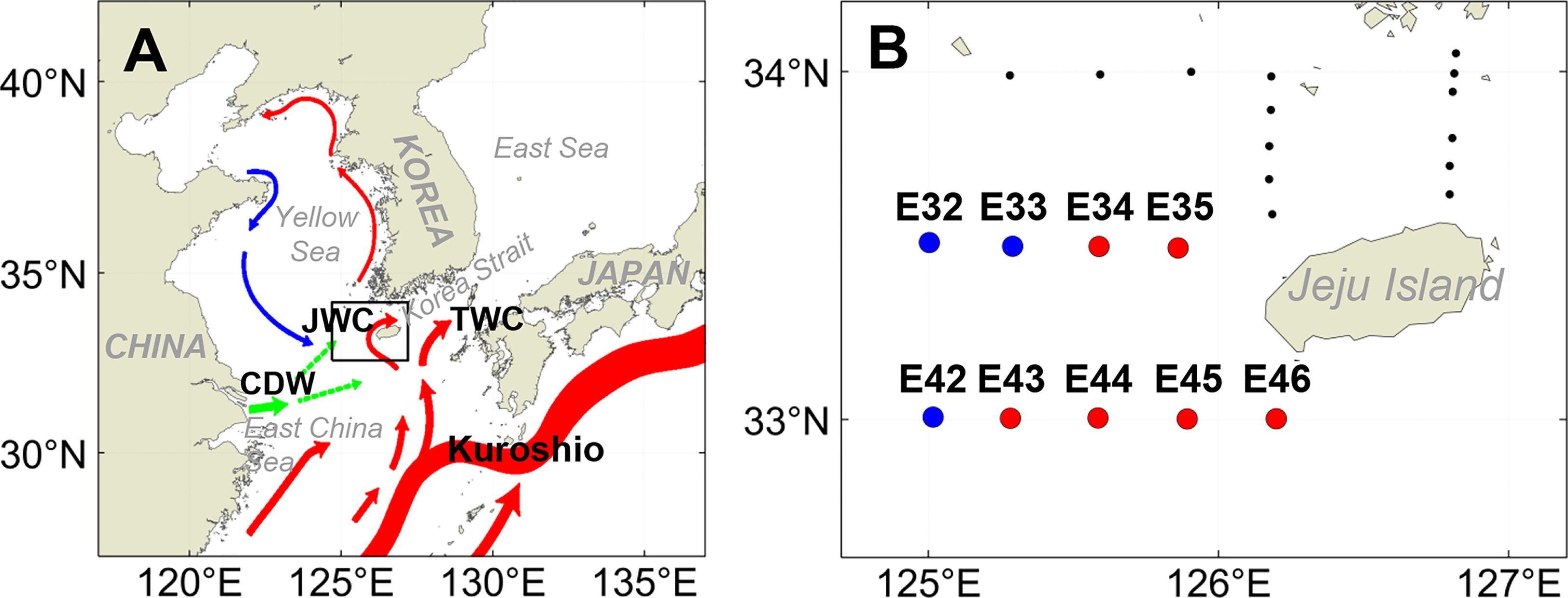 Frontiers  Diversity, Composition, and Activities of Nano- and  Pico-Eukaryotes in the Northern South China Sea With Influences of Kuroshio  Intrusion