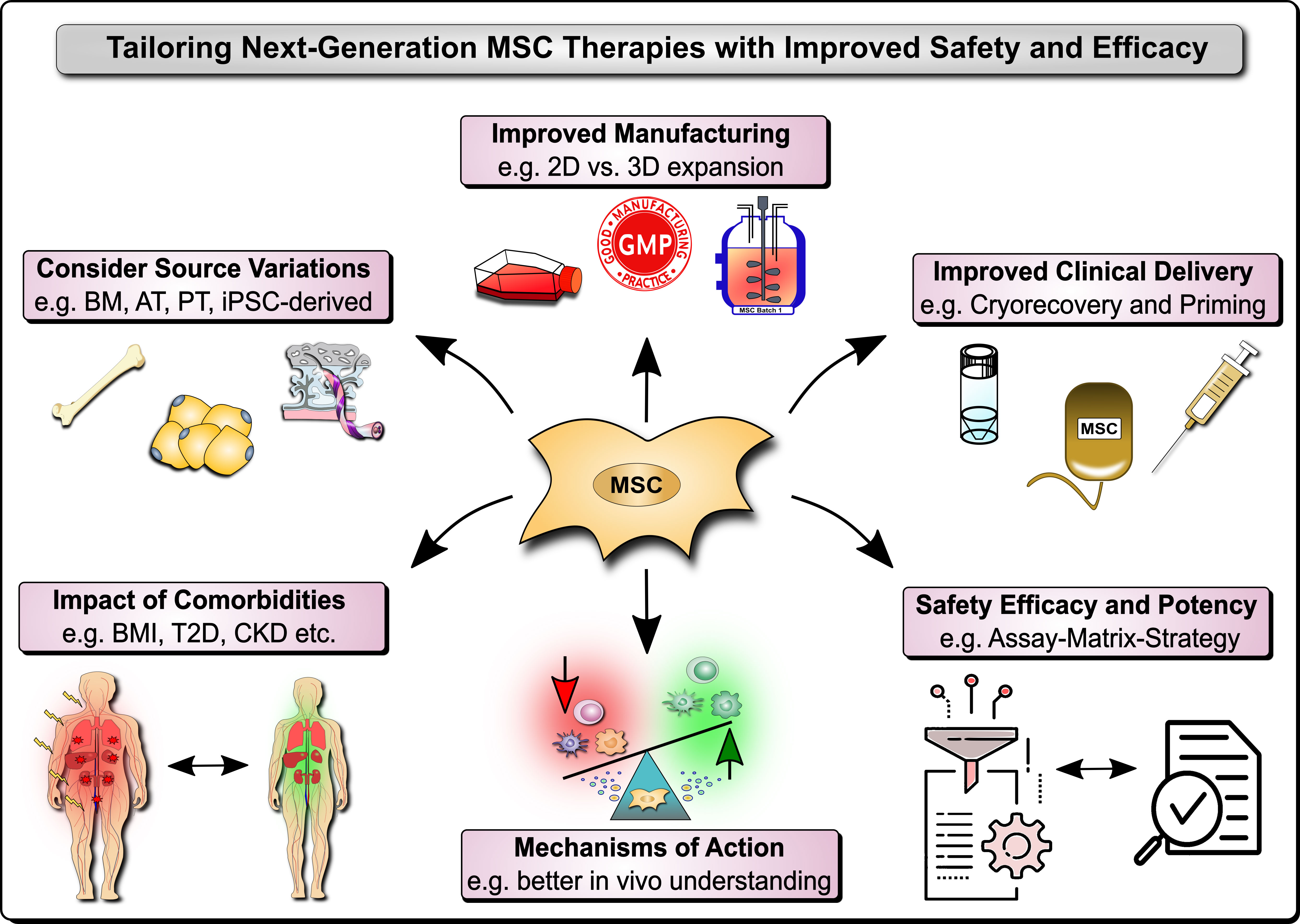 Frontiers  Editorial: Next generation MSC therapy manufacturing