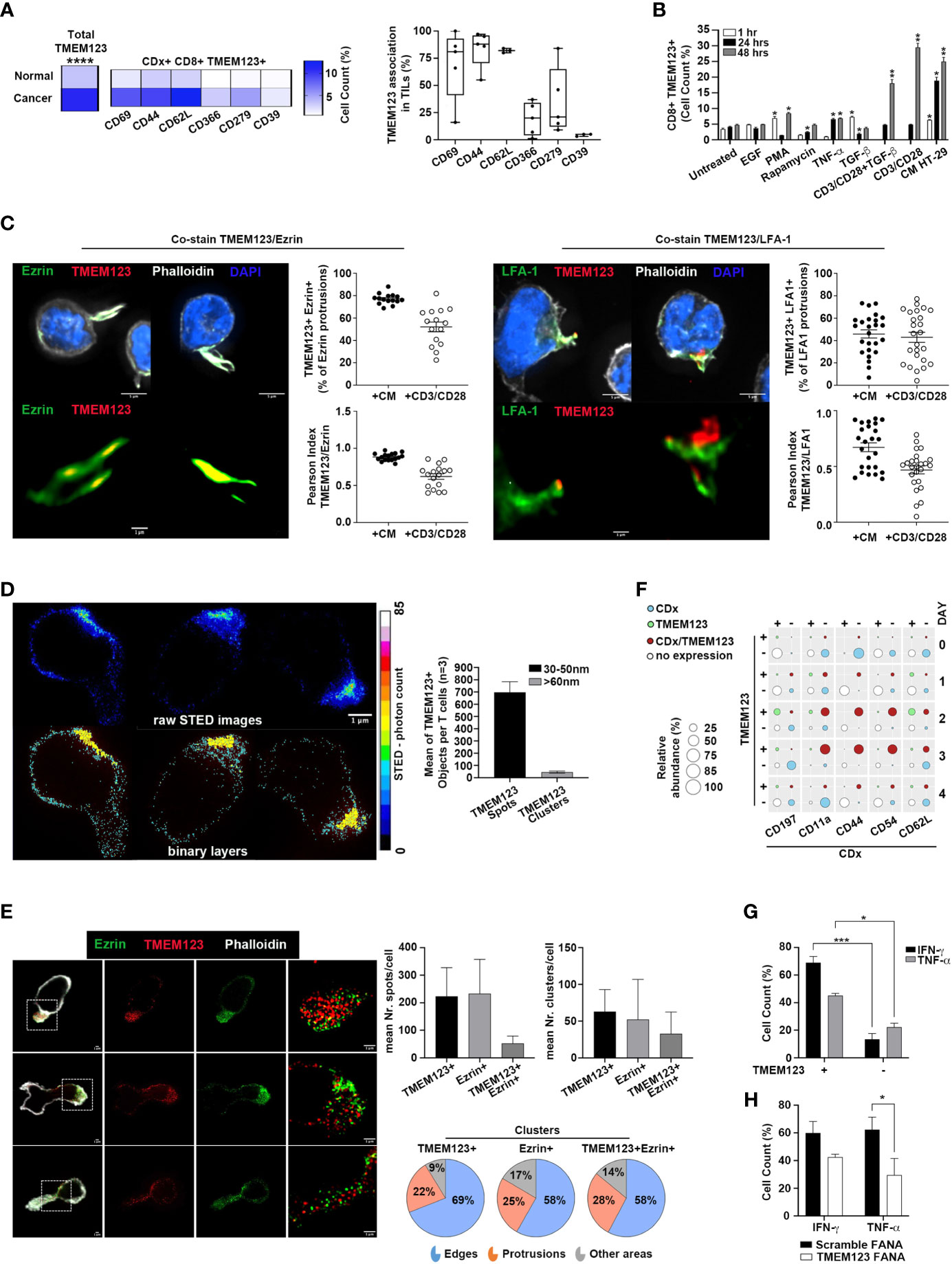 Frontiers | TMEM123 A Key Player In Immune Surveillance Of Colorectal ...