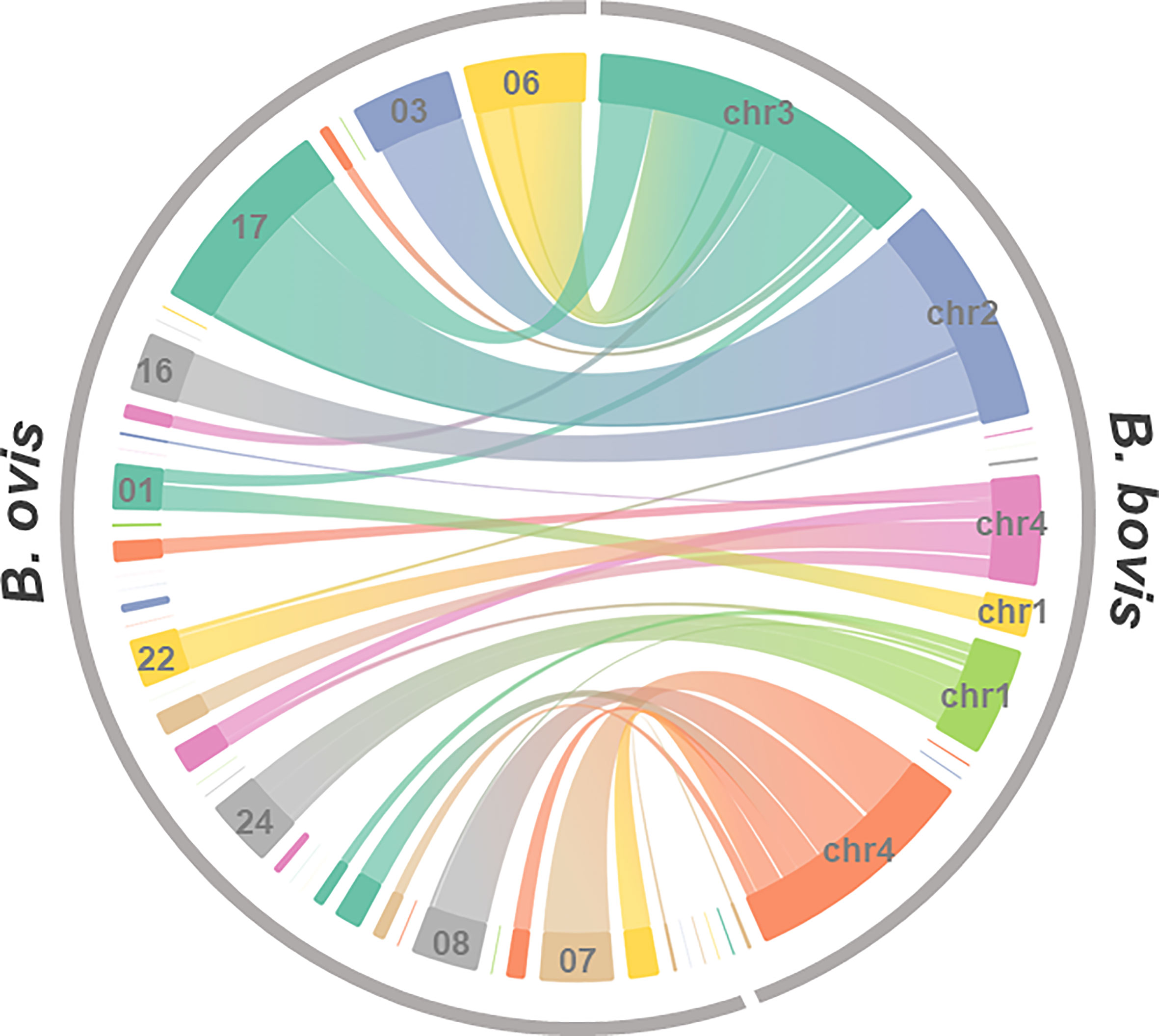 Frontiers | Whole Genome Sequence And Diversity In Multigene Families ...