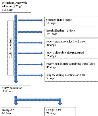 Feeding Tubes in Dogs - Conditions Treated, Procedure, Efficacy