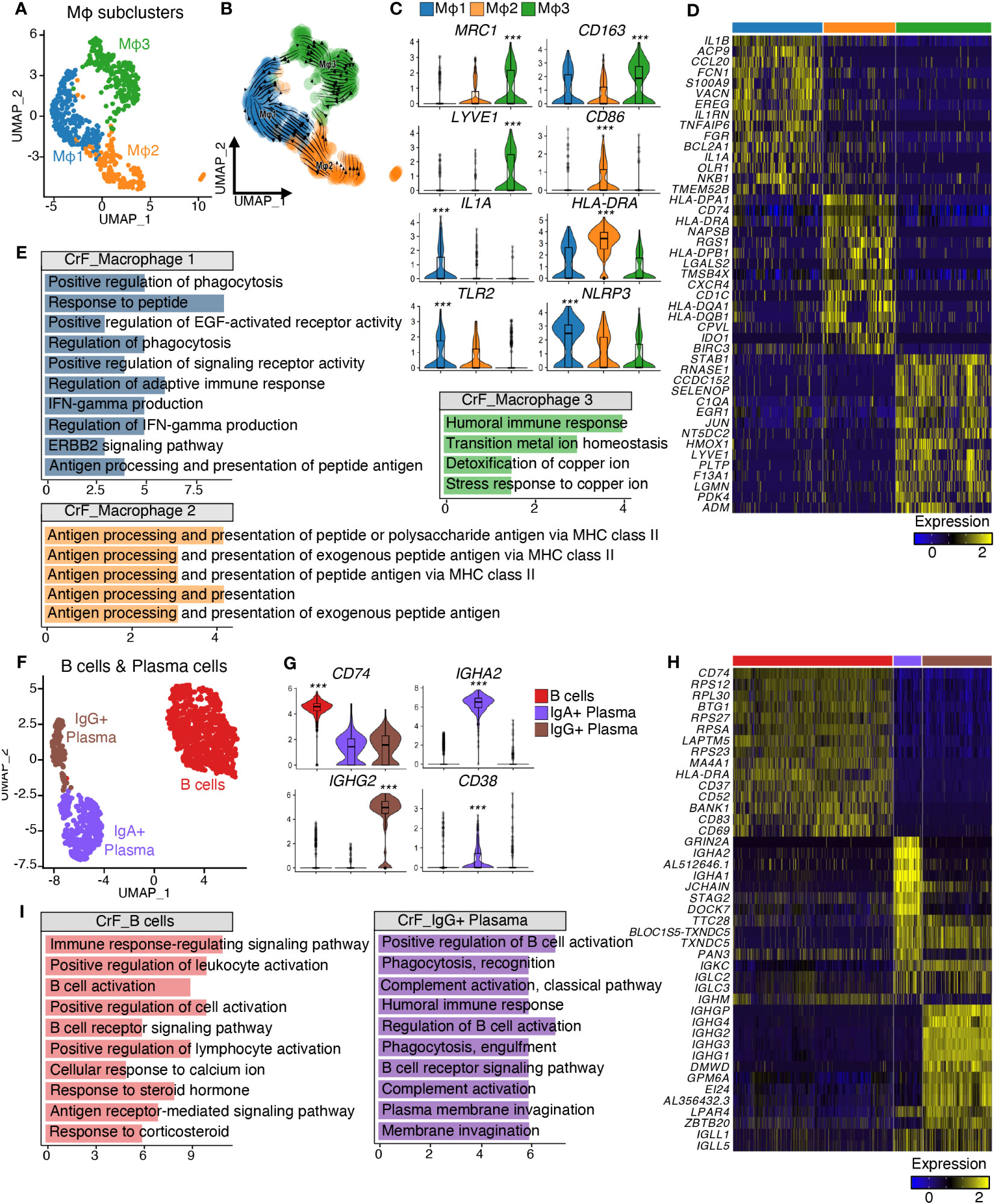 Frontiers Creeping fat exhibits distinct Inflammation specific