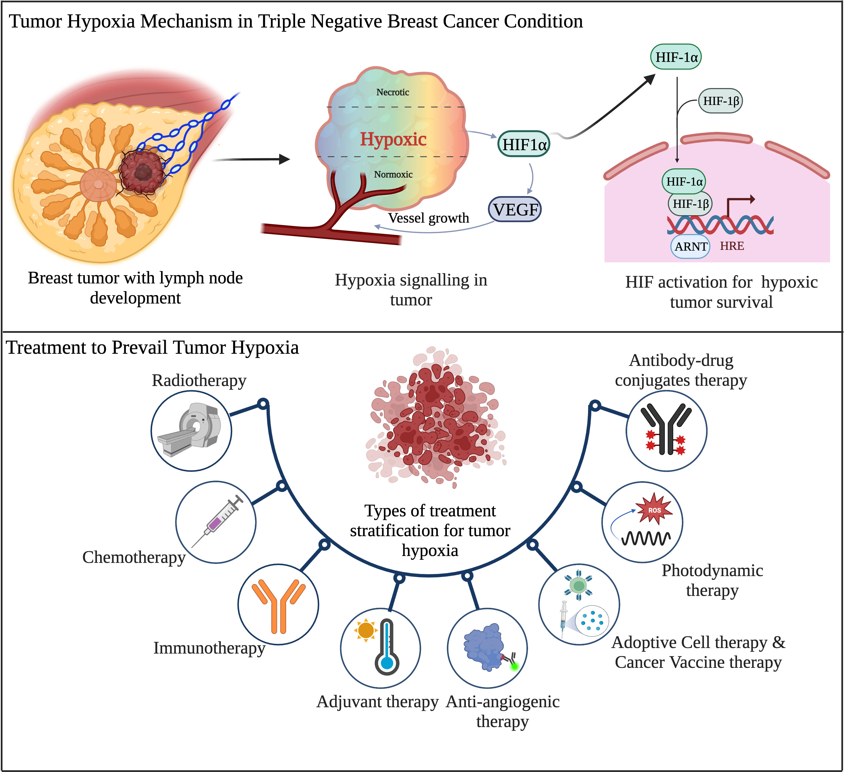 Frontiers Hypoxia Syndicating Triple Negative Breast Cancer Against
