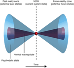 Frontiers | Restructuring consciousness –the psychedelic state in light of integrated ...