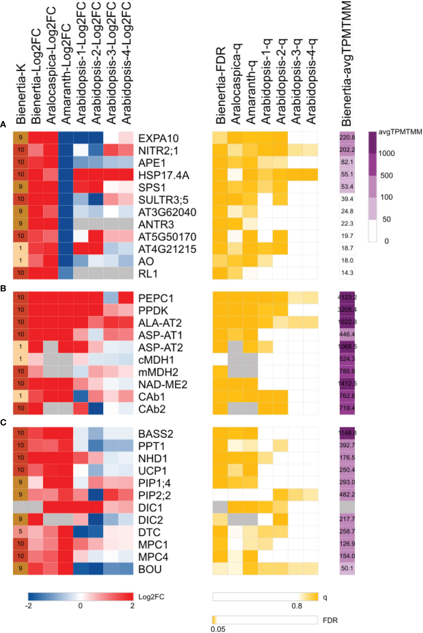 Frontiers | Comparative Transcriptomics Reveals The Role Of Altered ...