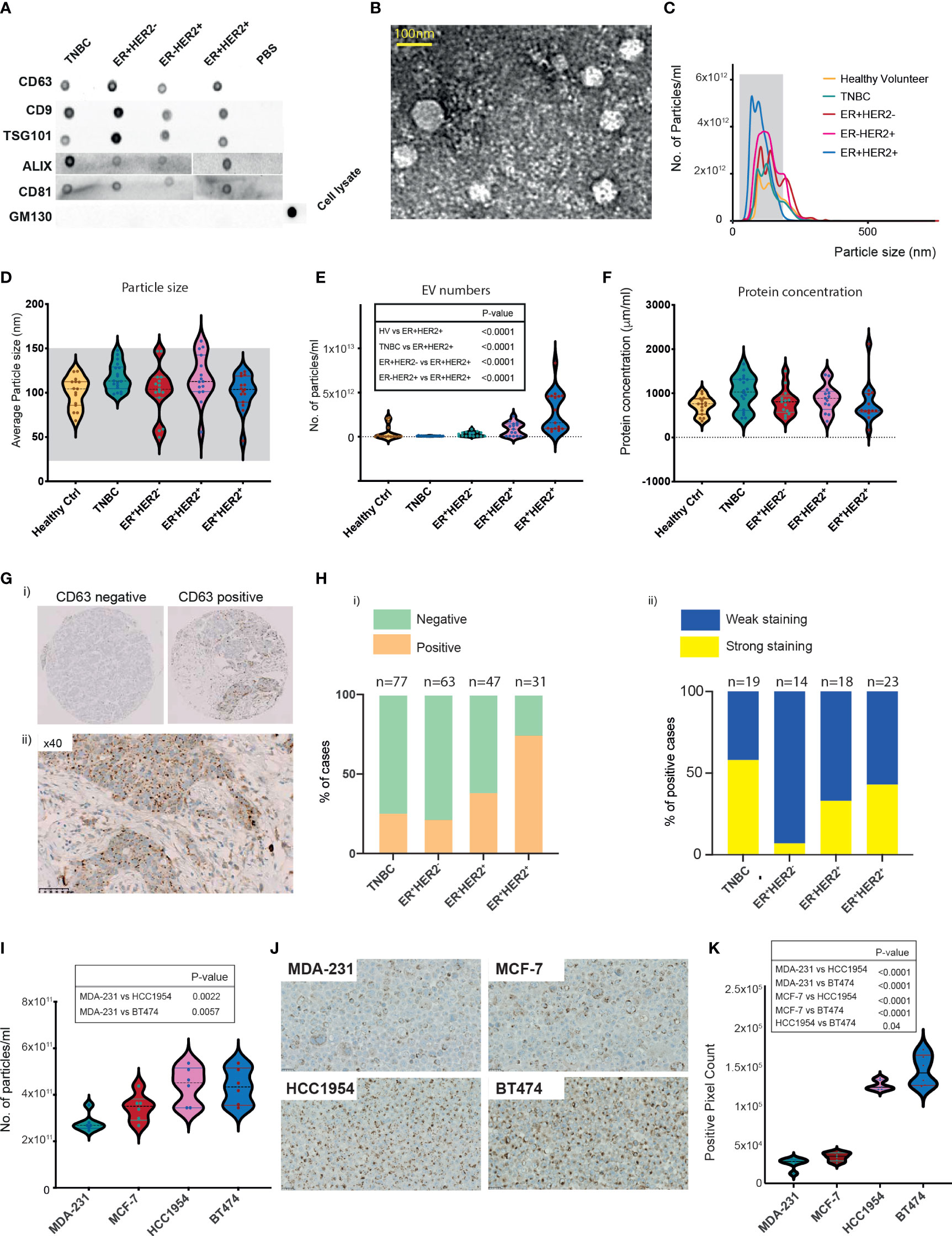 Proteome Profiler Human XL Cytokine Array Kit ARY022B: R&D Systems