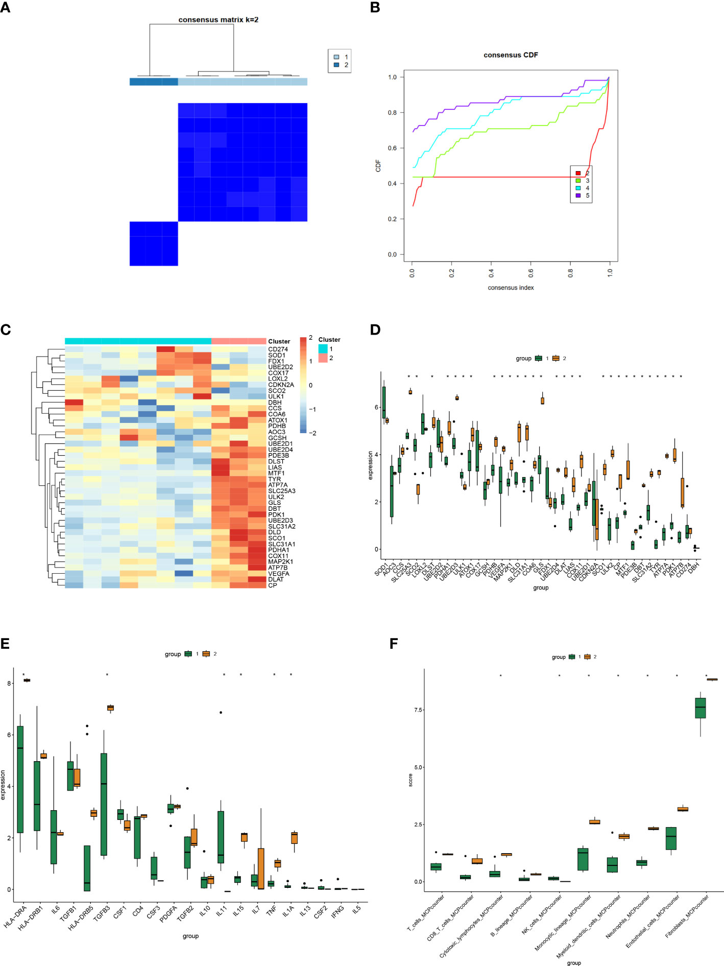 Frontiers  Deciphering the contributions of cuproptosis in the 