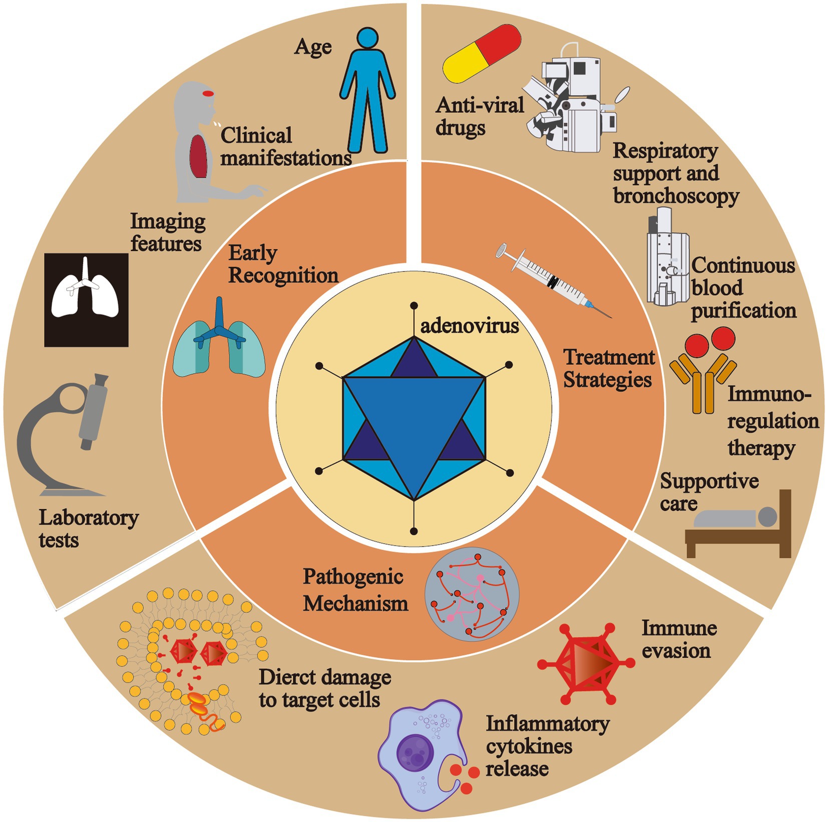 Frontiers Pediatric Adenovirus Pneumonia Clinical Practice And 