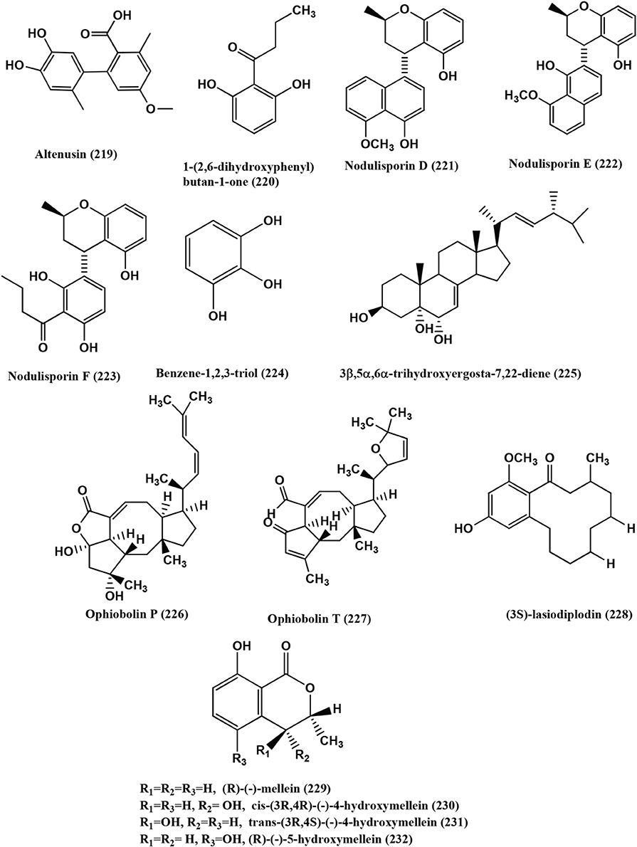 Frontiers | Endophytic fungi: a reservoir of antibacterials | Microbiology