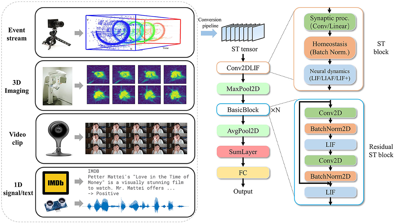 Frontiers | BIDL: a brain-inspired deep learning framework for 