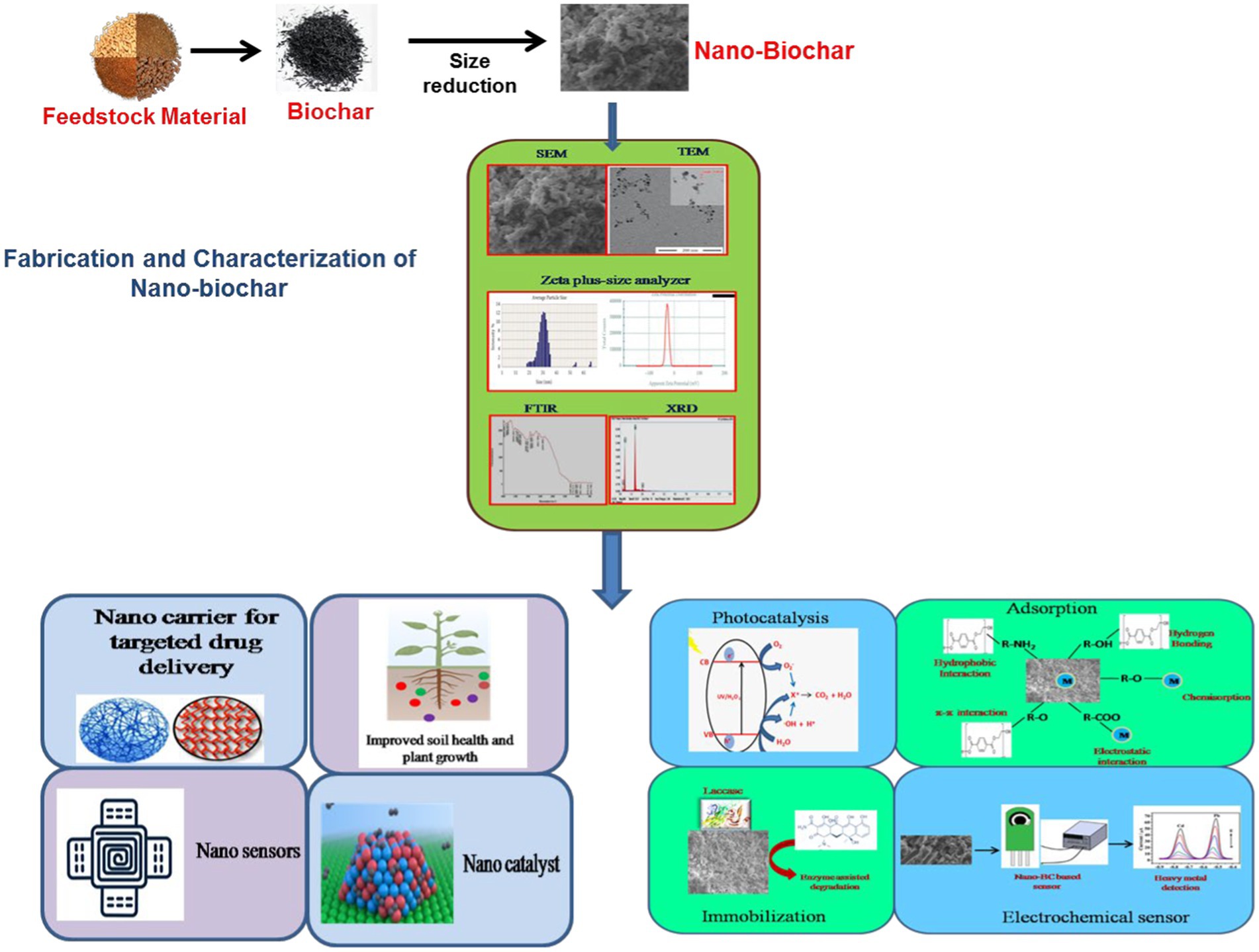 Frontiers | Nano-biochar: Recent Progress, Challenges, And ...