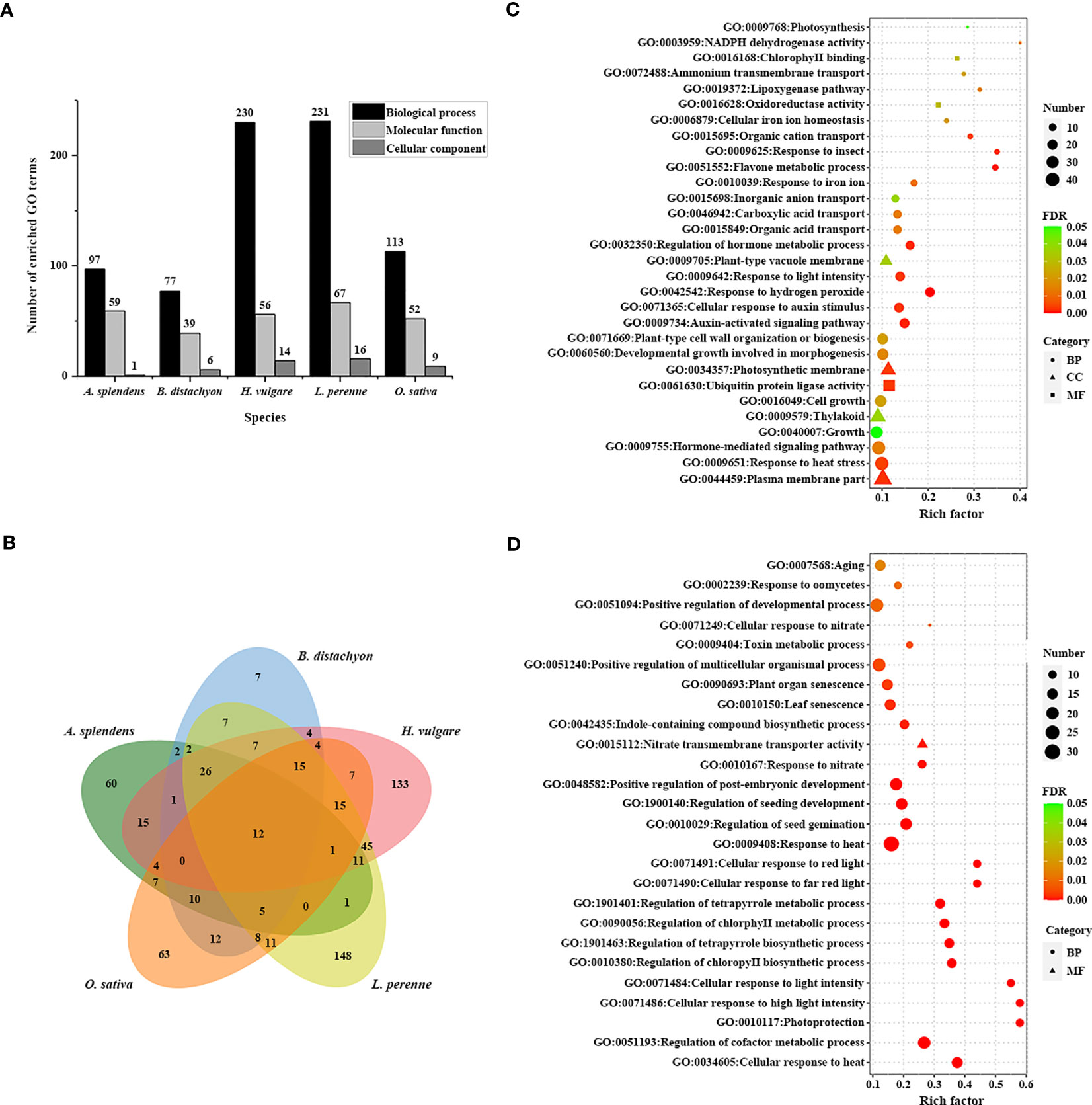 Frontiers | Combined genomic and transcriptomic analysis reveals 