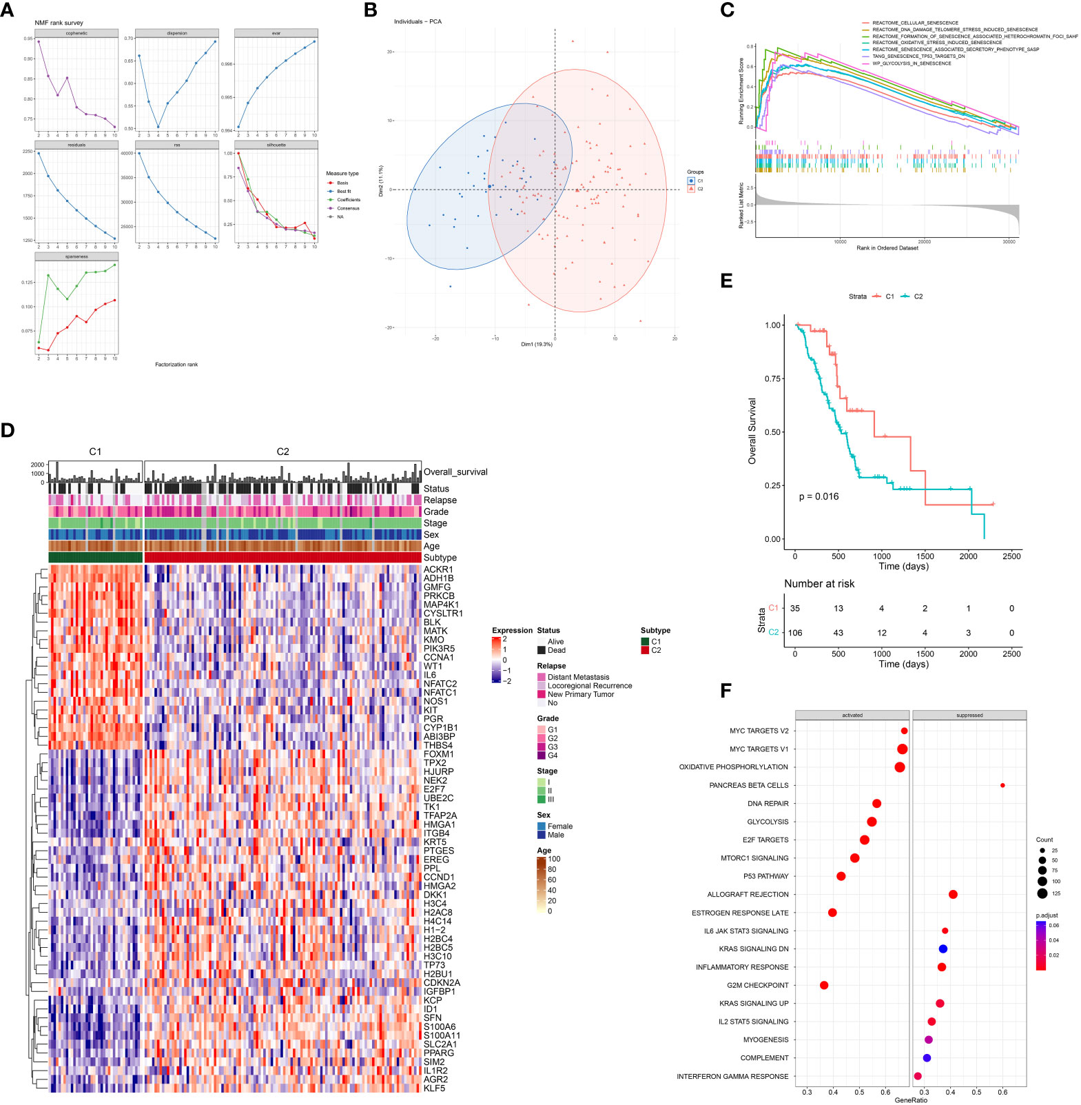 Frontiers Proteasome Dependent Senescent Tumor Cells Mediate Immunosuppression Through Ccl20 