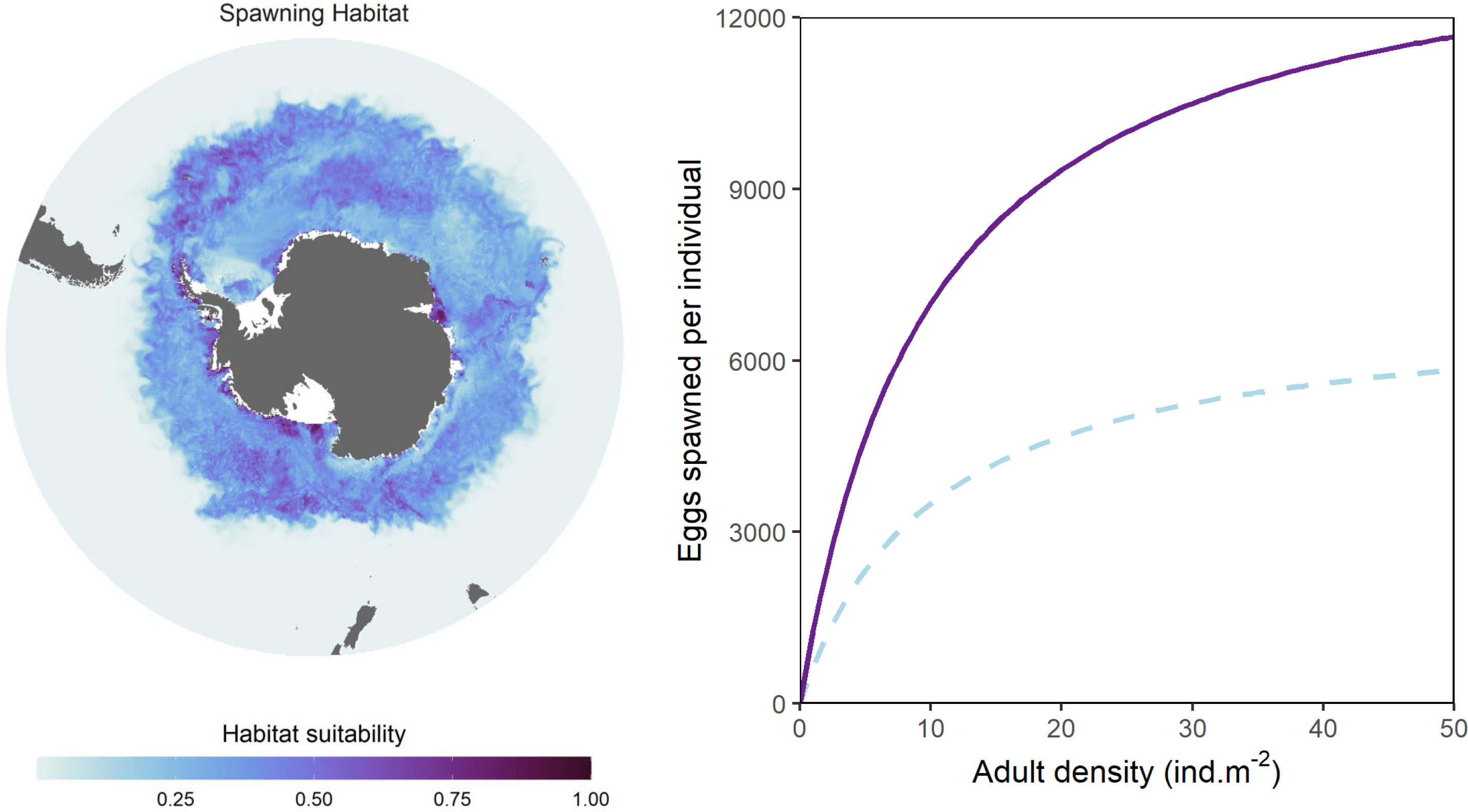 Frontiers | KRILLPODYM: A Mechanistic, Spatially Resolved Model Of ...