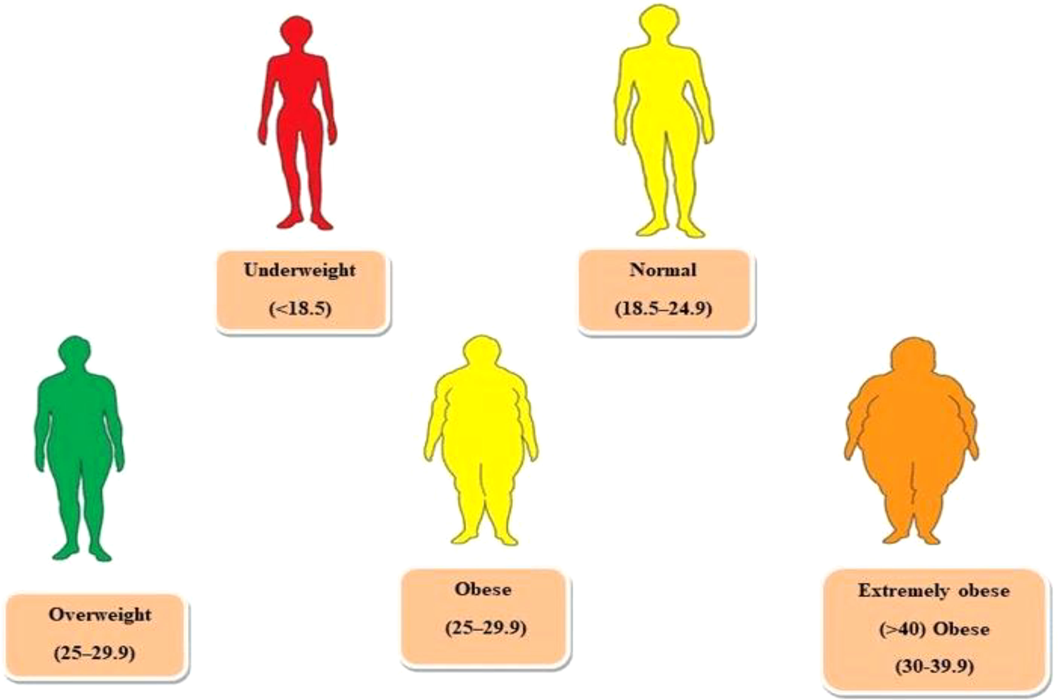 Frontiers  Exploring the underlying mechanisms of obesity and diabetes and  the potential of Traditional Chinese Medicine: an overview of the literature