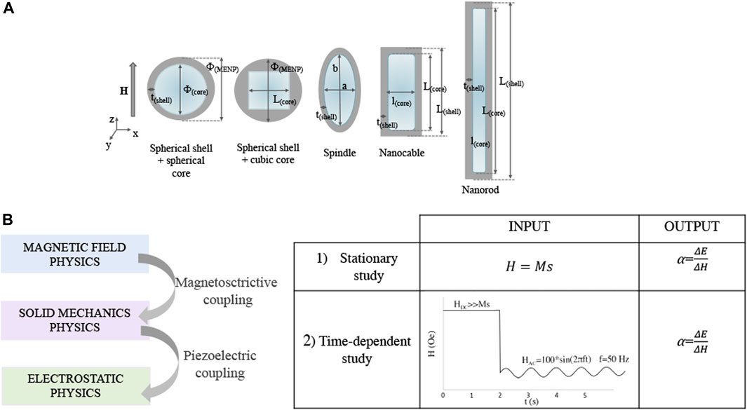 Magneto-elasto-electroporation (MEEP): In-vitro visualization and numerical  characteristics