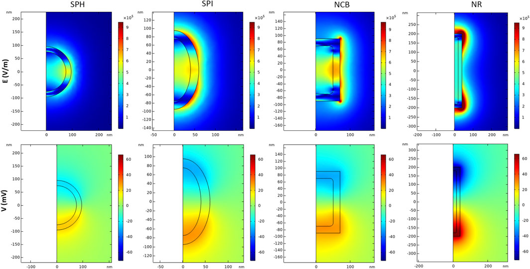 Magneto-elasto-electroporation (MEEP): In-vitro visualization and numerical  characteristics