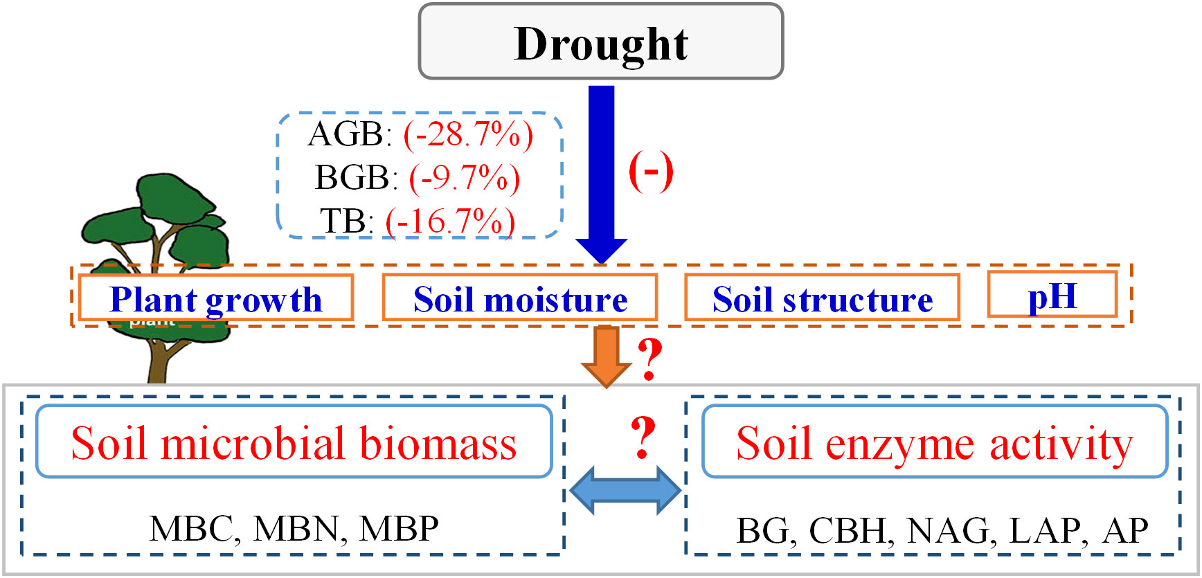 Frontiers Impact Of Drought On Soil Microbial Biomass And